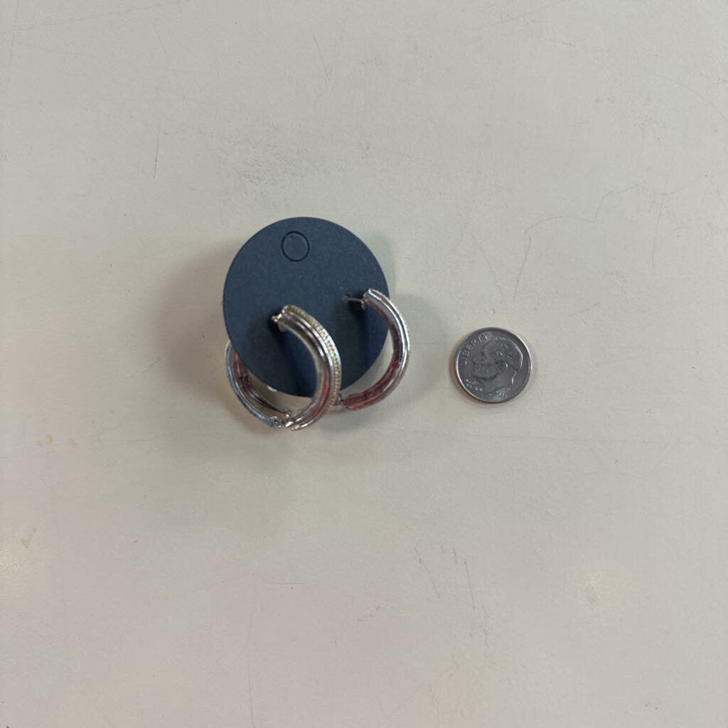 Two Toned Hoop Earrings