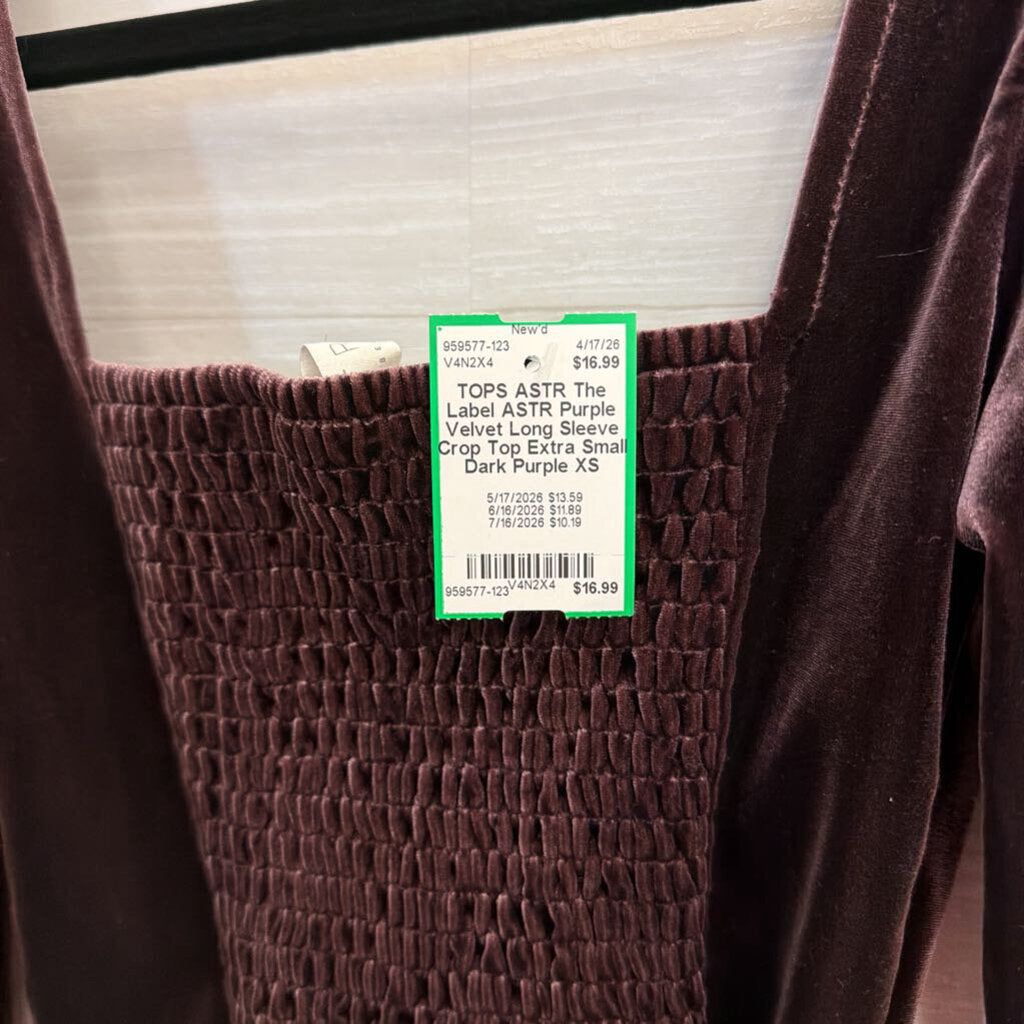 ASTR Purple Velvet Long Sleeve Crop Top Extra Small