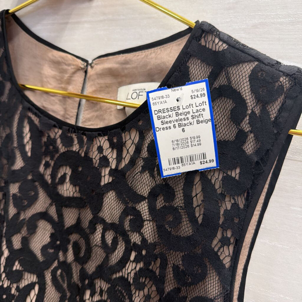 Loft Black/ Beige Lace Sleeveless Shift Dress 6