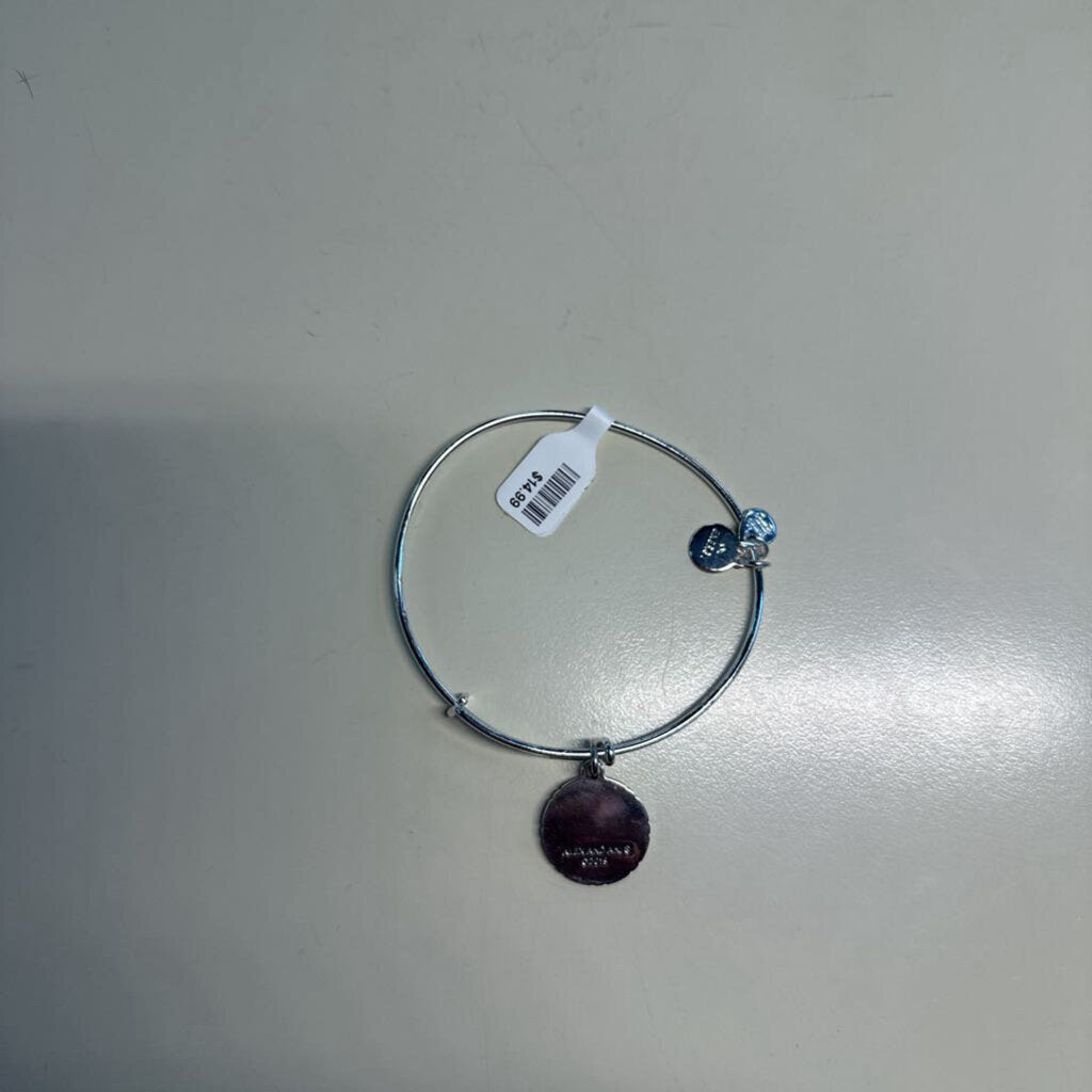 Alexi and Ani Silver What Is For You Will Not Pass You Bangle Bracelet