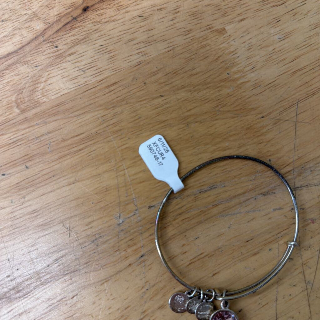 Alex and Ani Silver Purple Stone Charm Bracelet