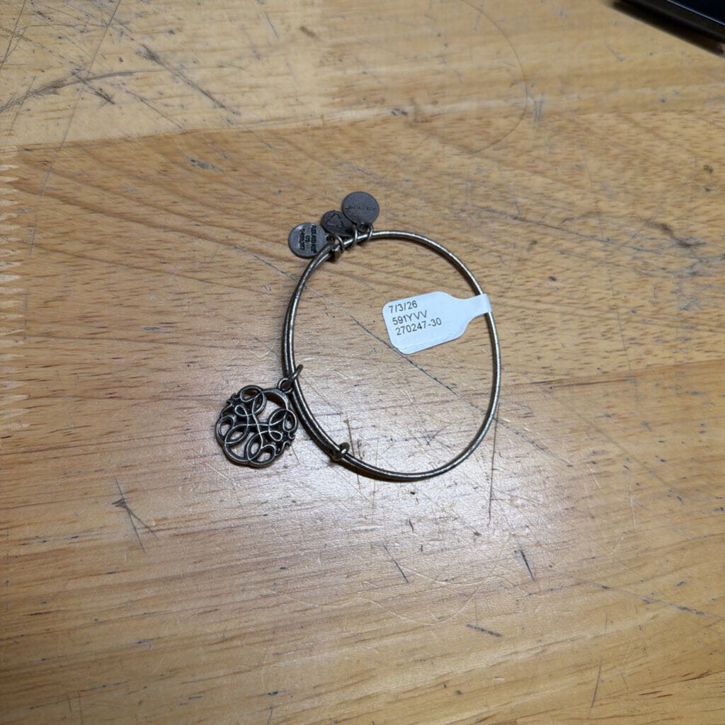 Alex and Ani Silver Charm Bracelet