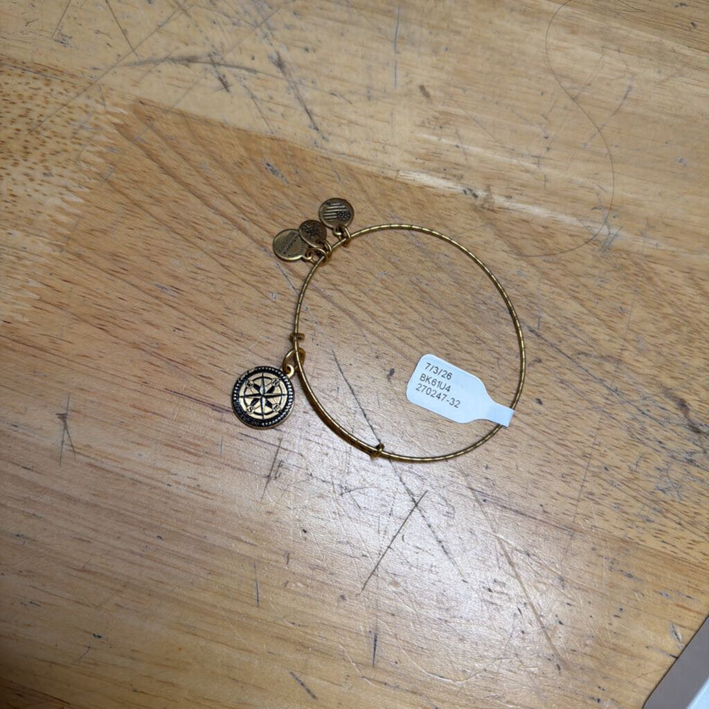 Alex and Ani Gold Compass Charm Bracelet