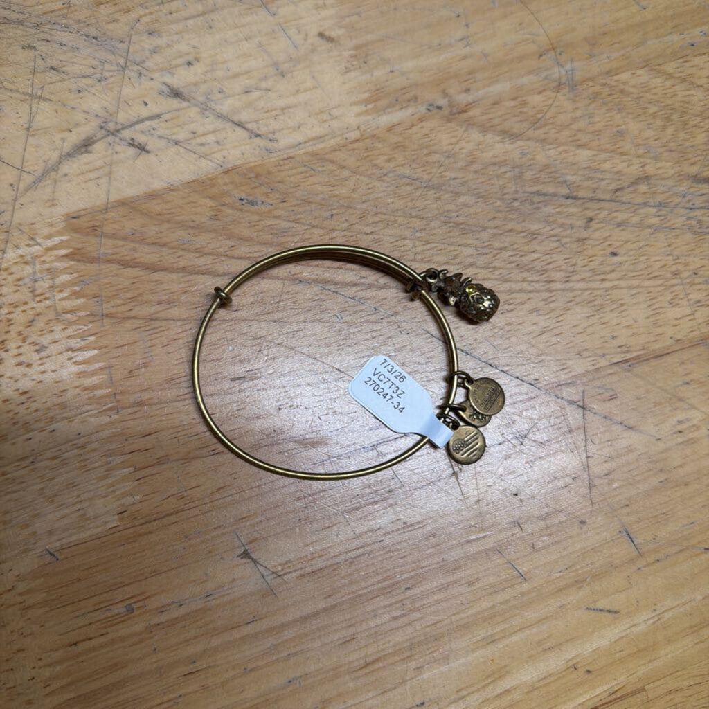 Alex and Ani Gold Pineapple Charm Bracelet