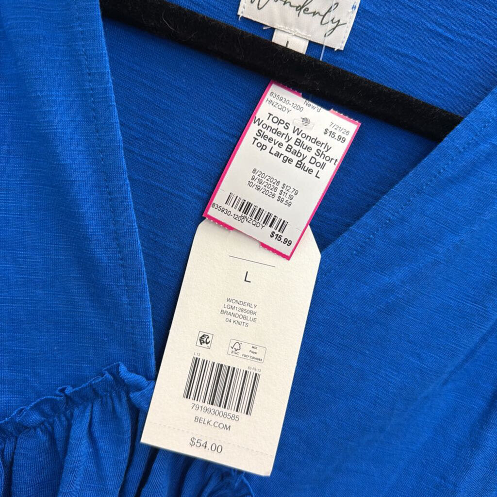 Wonderly Blue Short Sleeve Baby Doll Top Large