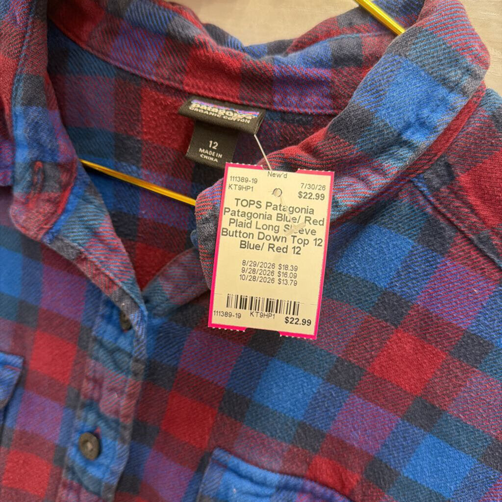 Patagonia Blue/ Red Plaid Long Sleeve Button Down Top 12