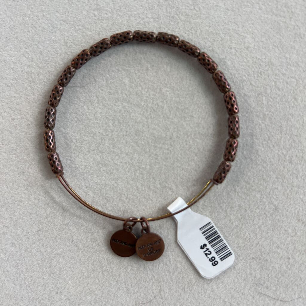 Alex and Ani Gold Charm Bangle Bracelet