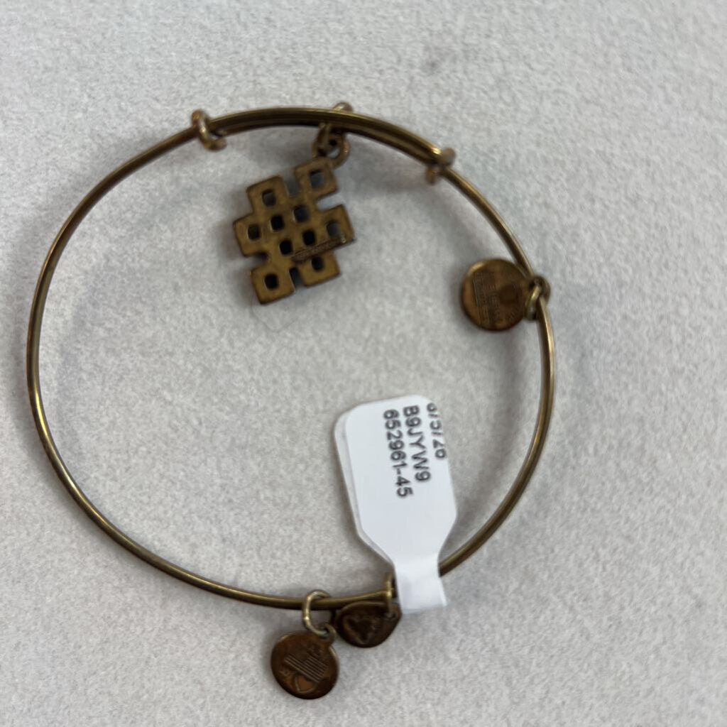 Alex and Ani Gold Charm Bangle Bracelet
