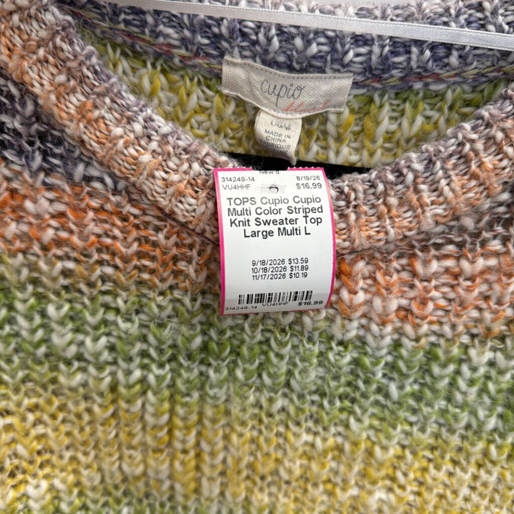 Cupio Multi Color Striped Knit Sweater Top Large