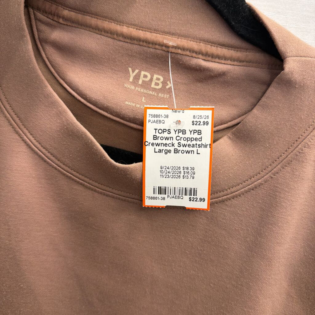 YPB Brown Cropped Crewneck Sweatshirt Large