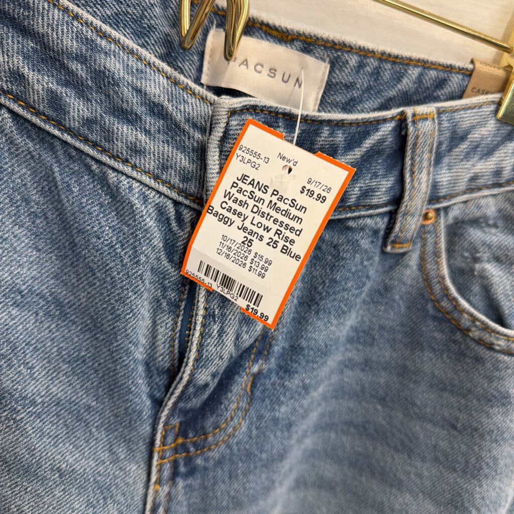 PacSun Medium Wash Distressed Casey Low Rise Baggy Jeans 25