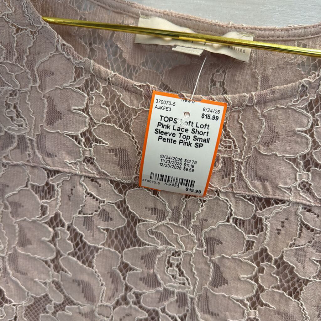 Loft Pink Lace Short Sleeve Top Small Petite