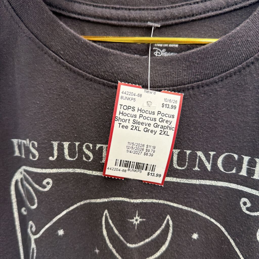 Hocus Pocus Grey Short Sleeve Graphic Tee 2XL