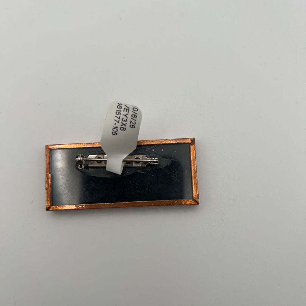 Dried Floral Resin Pin