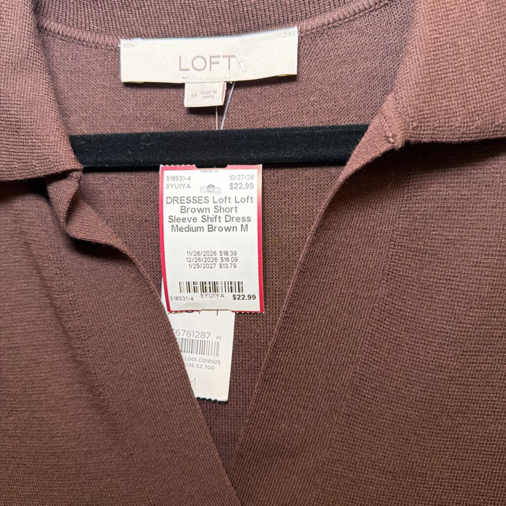 Loft Brown Short Sleeve Shift Dress Medium