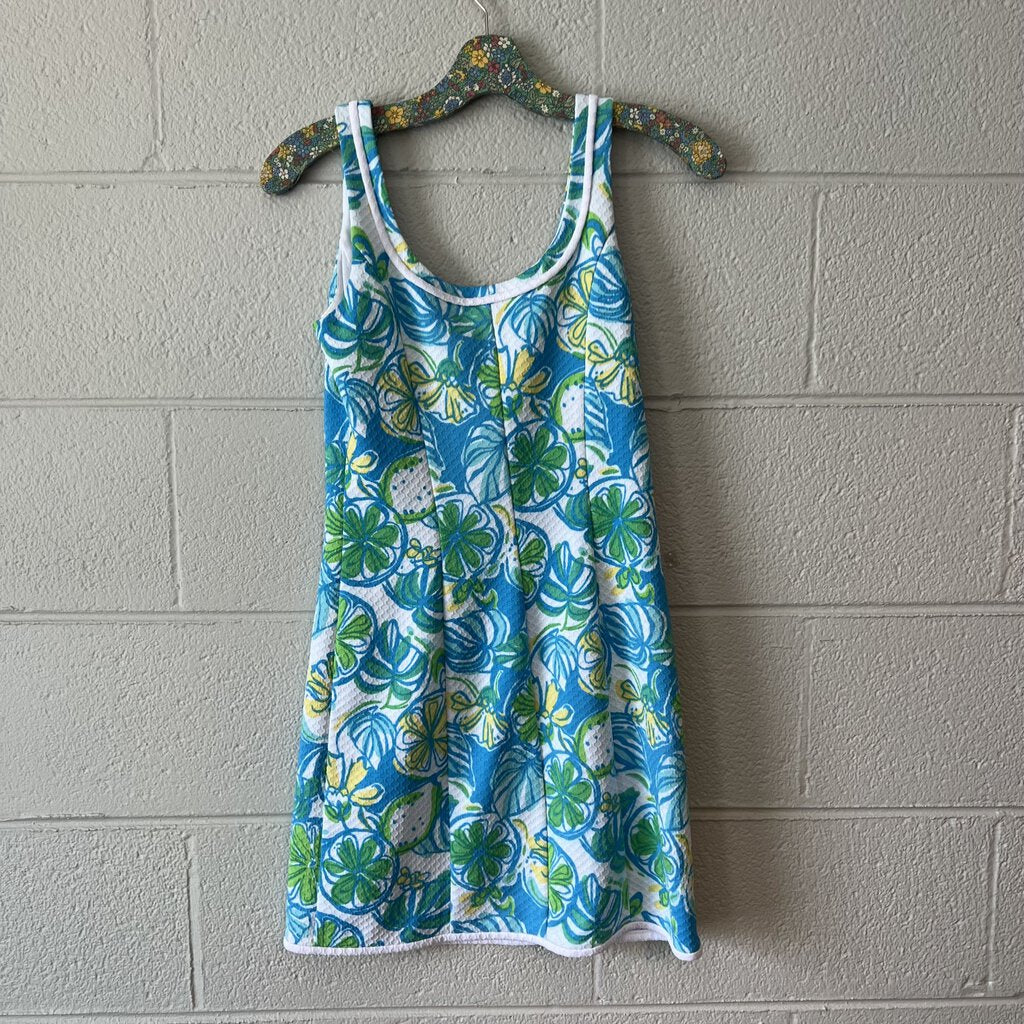 Lilly Pulitzer Blue/Green Fitted Stretch Dress