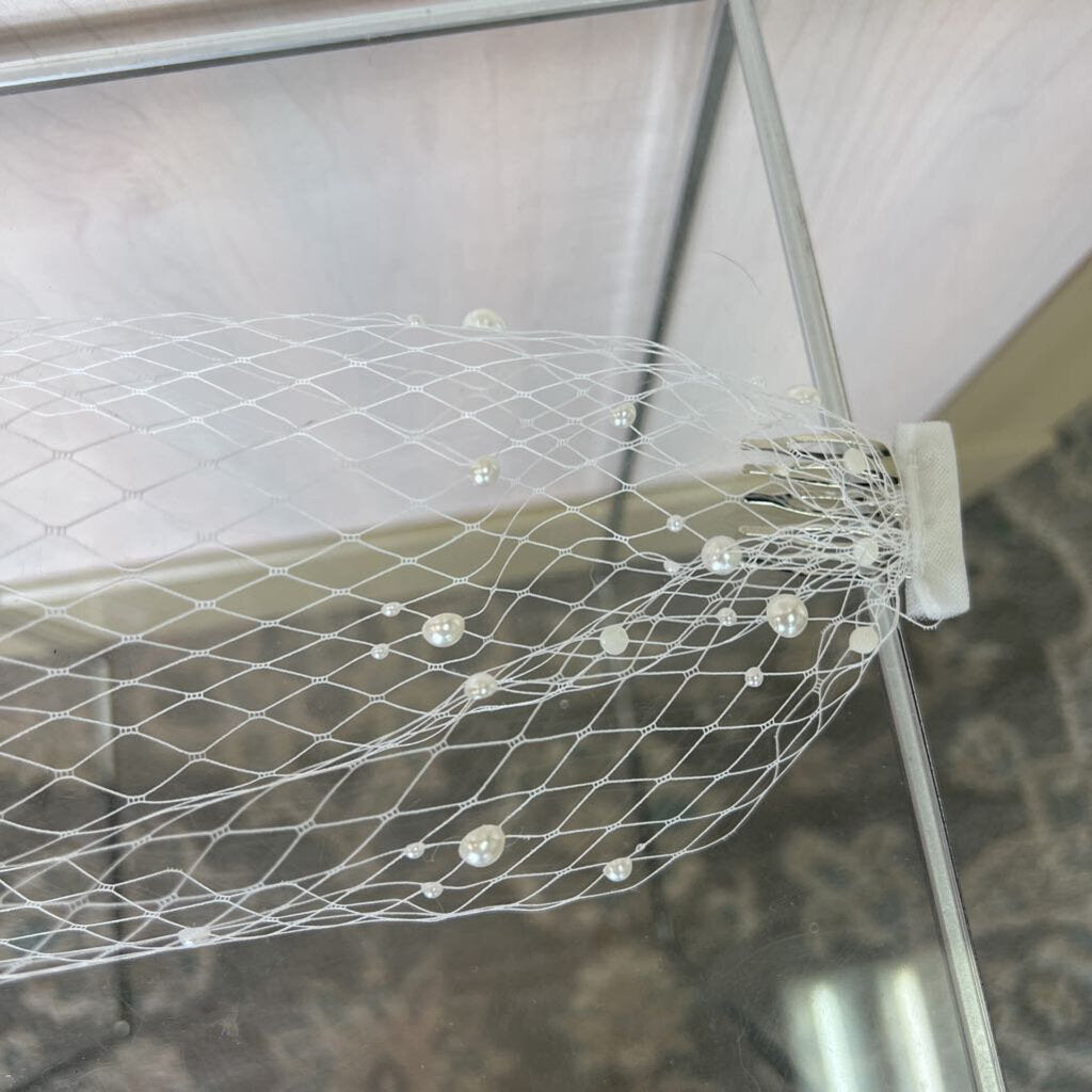 Ivory/Pearl Birdcage Veil