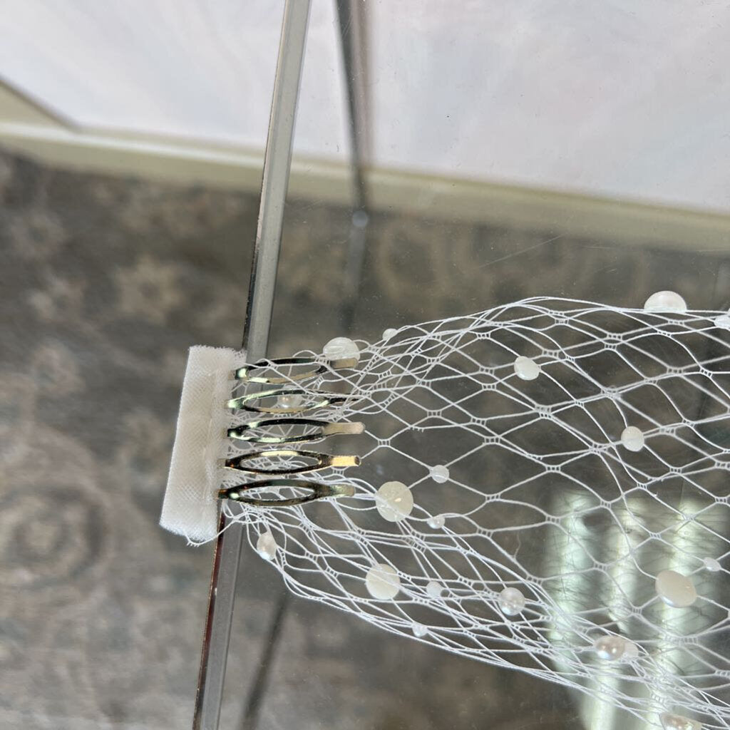 Ivory/Pearl Birdcage Veil