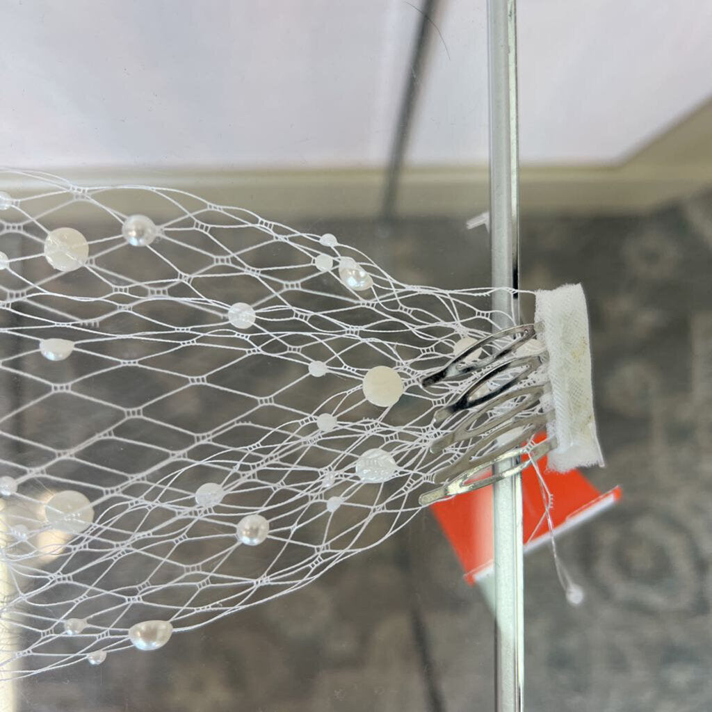 Ivory/Pearl Birdcage Veil