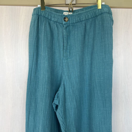 Wonderly Blue Crinkle Pants 4X NWT