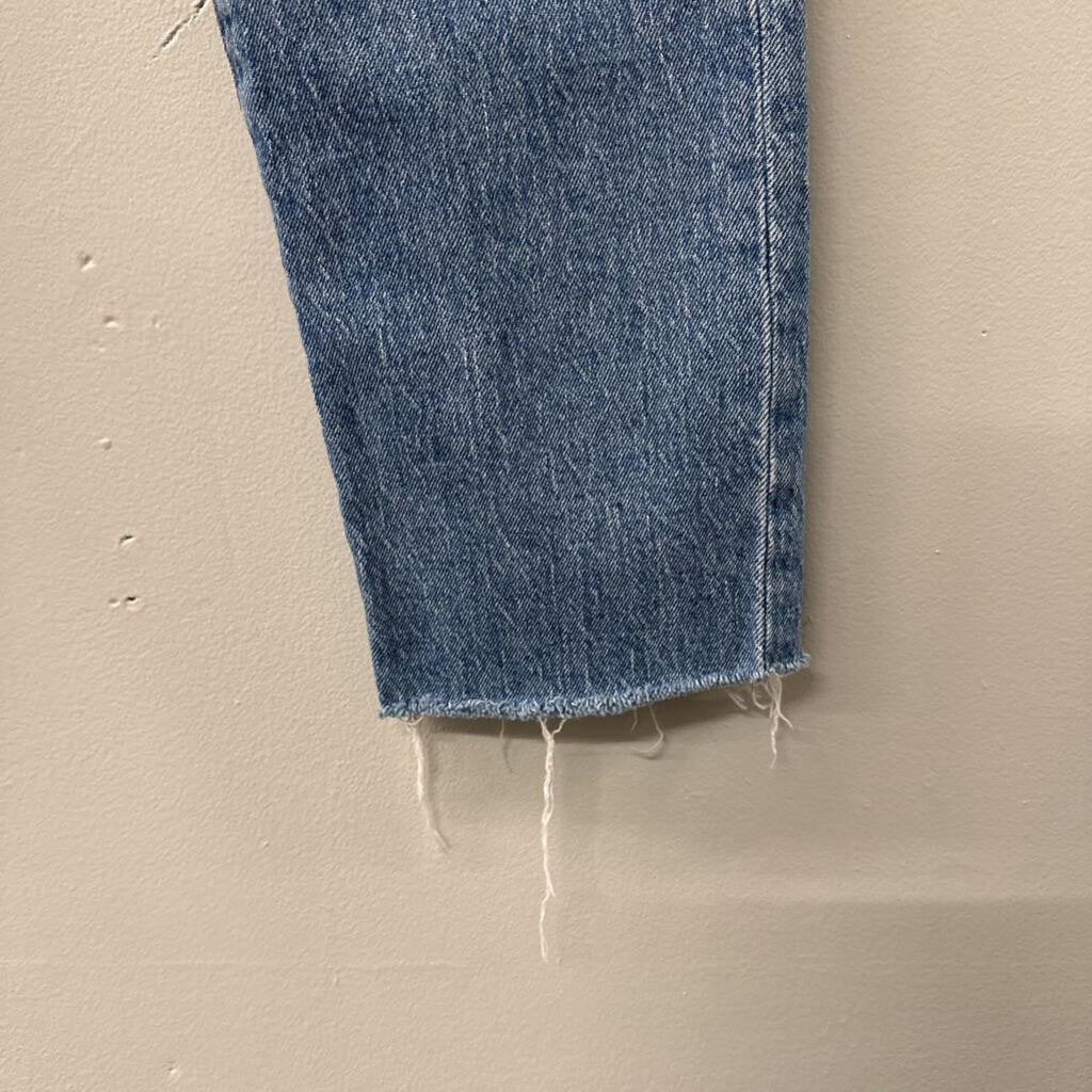 Madewell Light Wash The Perfect Vintage Jean 26T