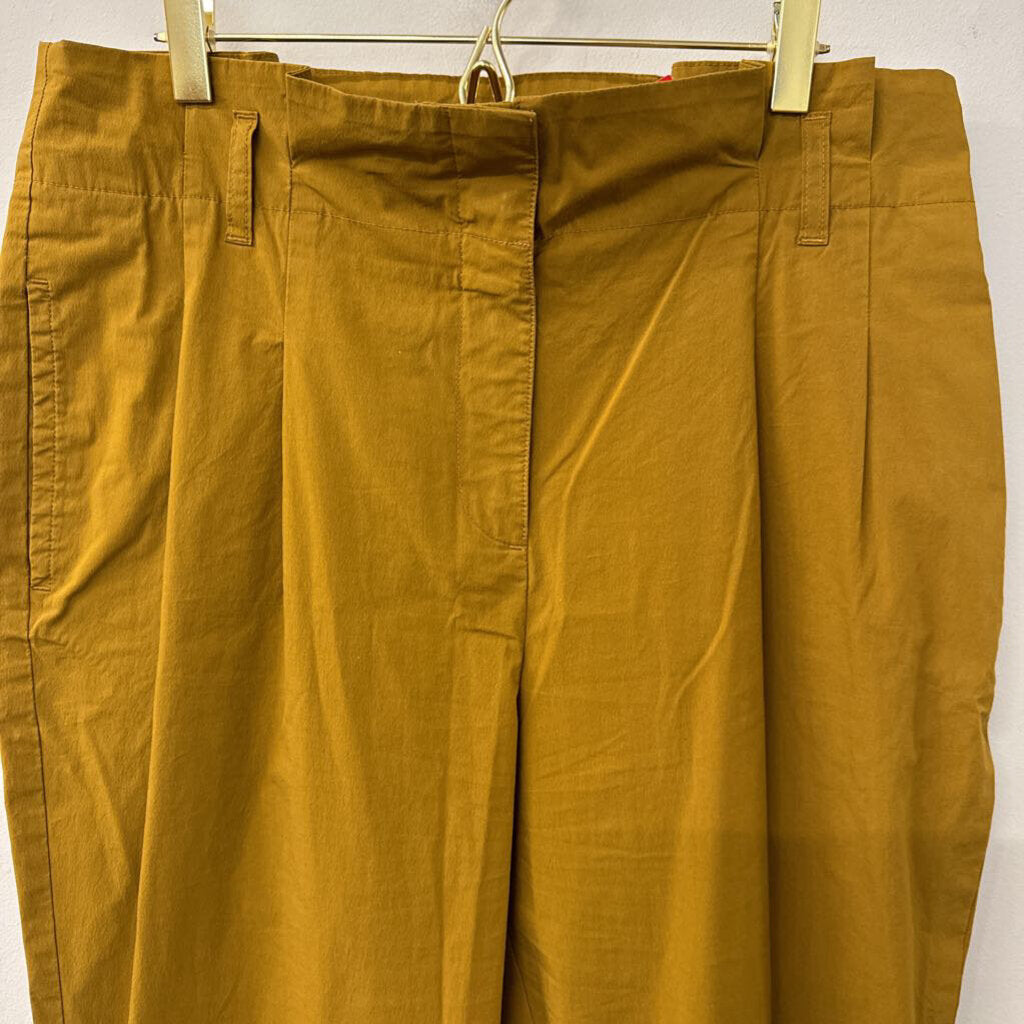 J Crew Brown Paper Bag Pants 10