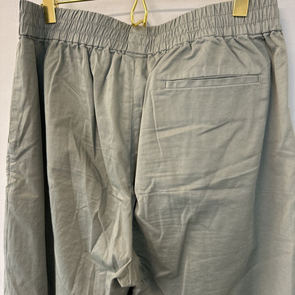 Everlane Green The Easy Chino Pants 6