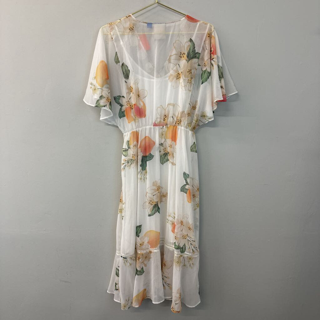 Anthropologie Farm Floral Maxi Dress