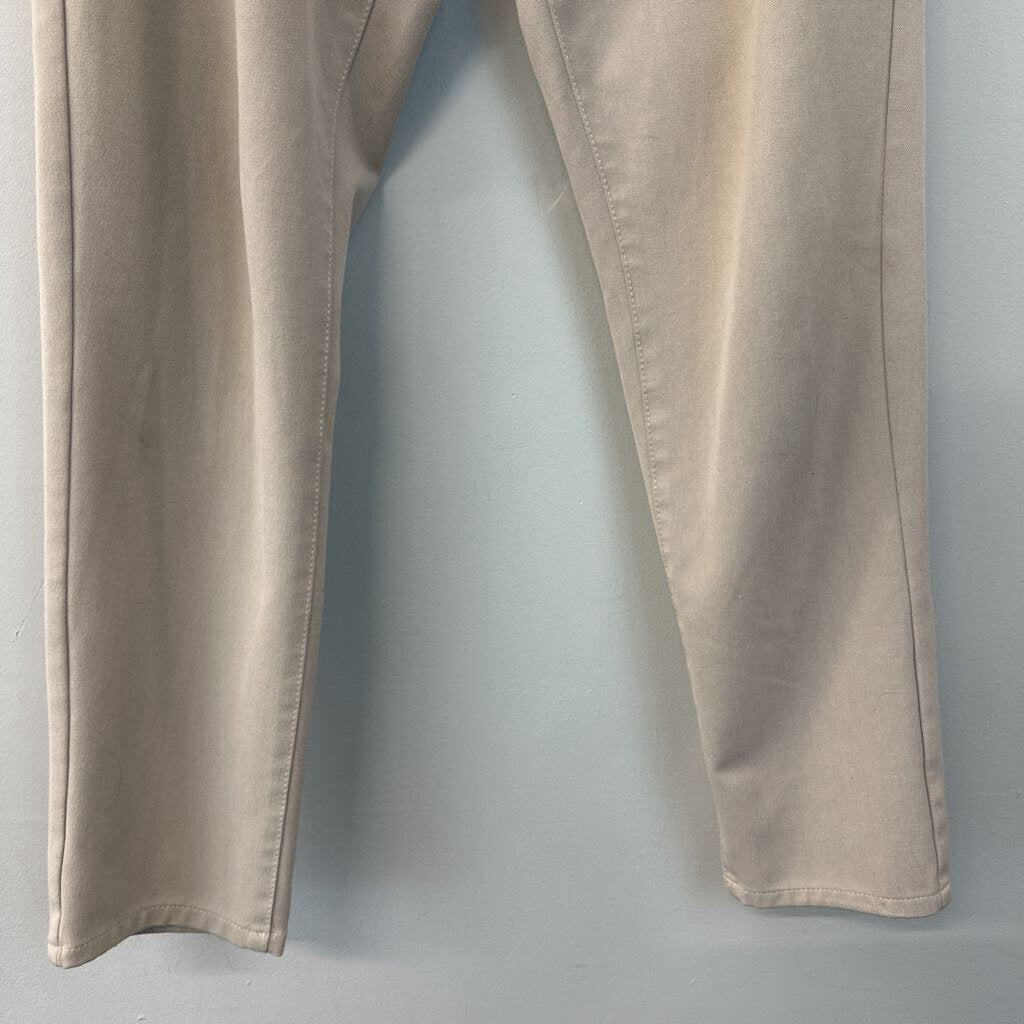 Zara Beige Straight Leg Pants 31