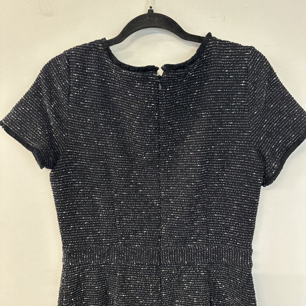 Loft Black/ White Tweed Short Sleeve Dress 6