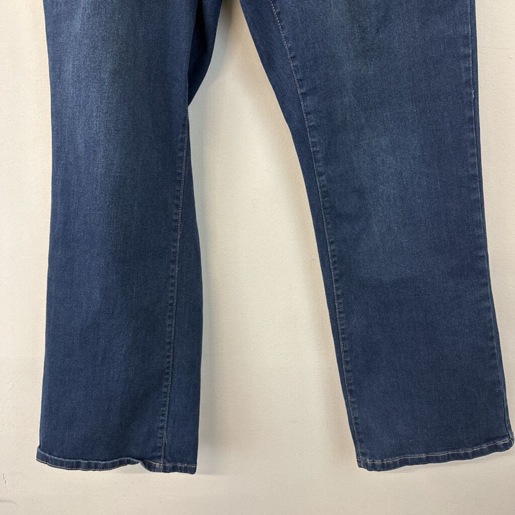 Bleu Dark Wash Straight Leg Jeans 22W Plus