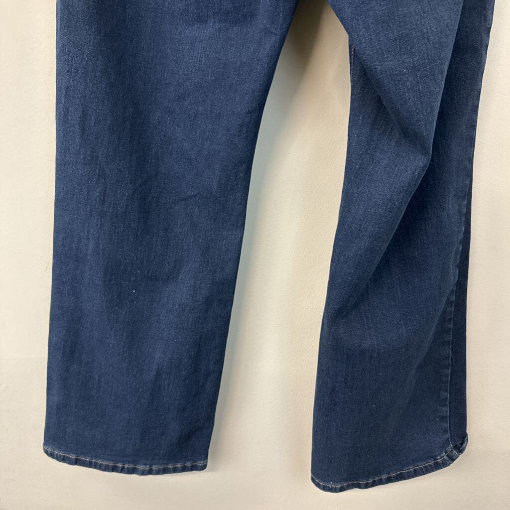 Bleu Dark Wash Straight Leg Jeans 22W Plus