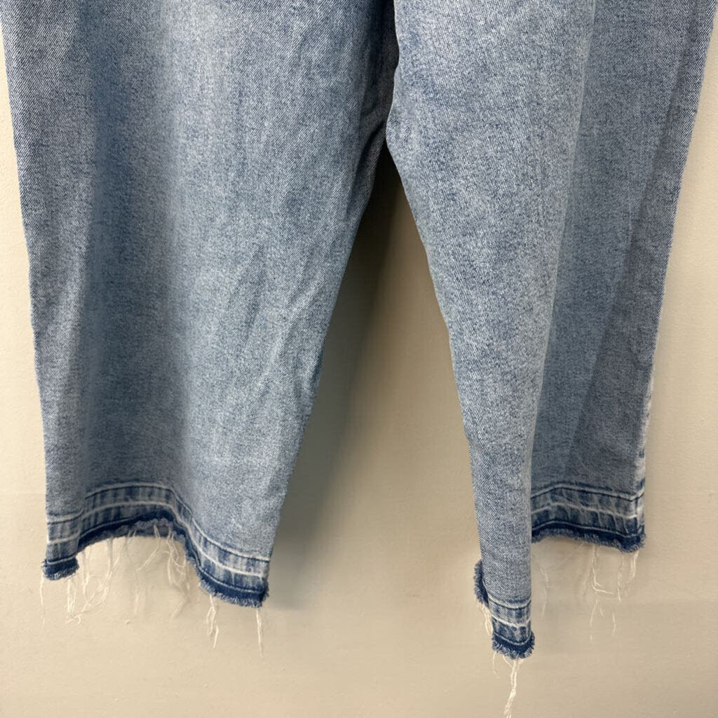 Lane Bryant Light Wash Mid Rise Wide Leg Frayed Hem Jeans 22 Plus