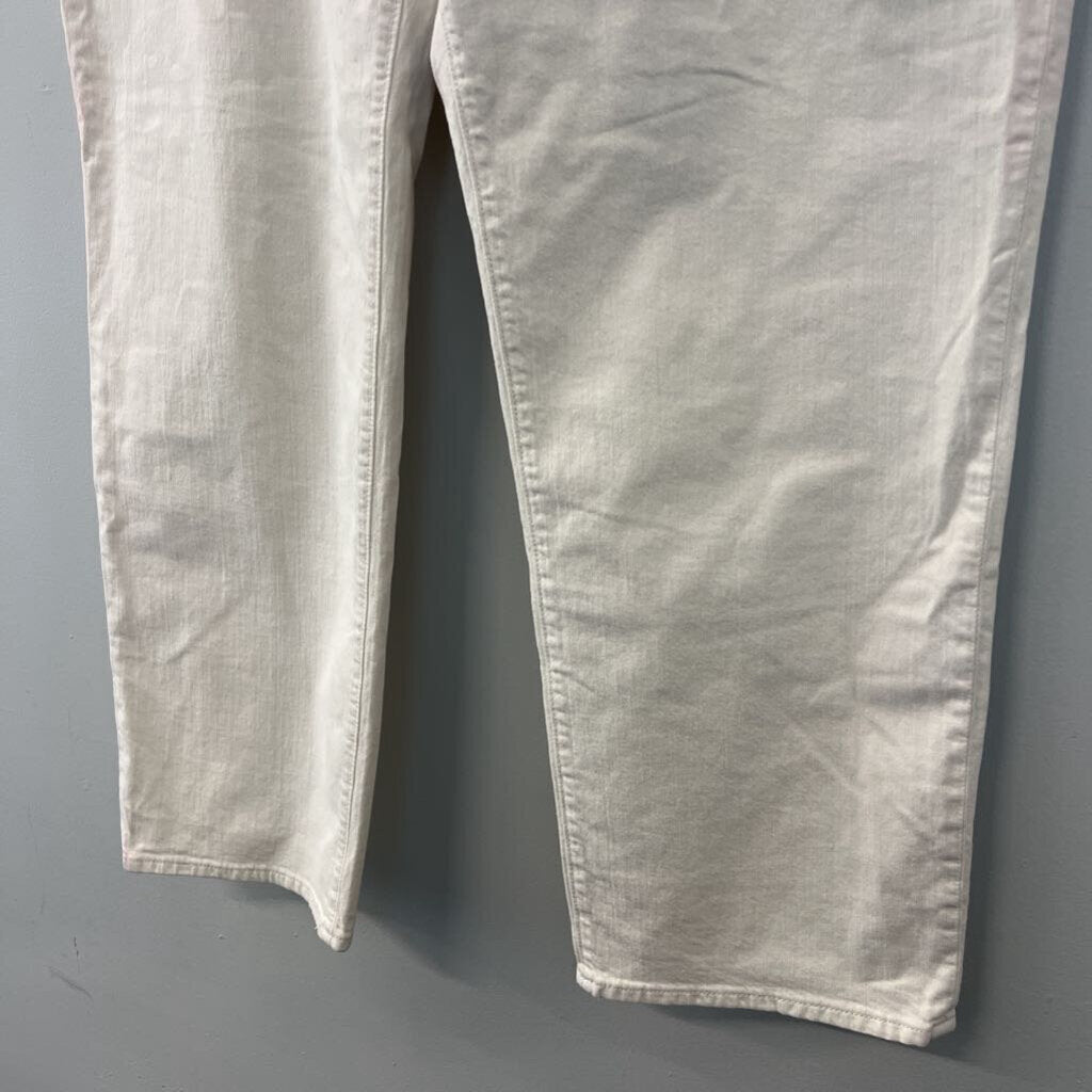 Madewell Cream The Perfect Vintage Straight Jeans 31