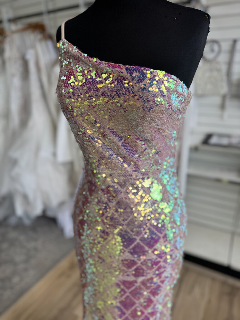 Blush Iridescent Sequin Long Formal Medium