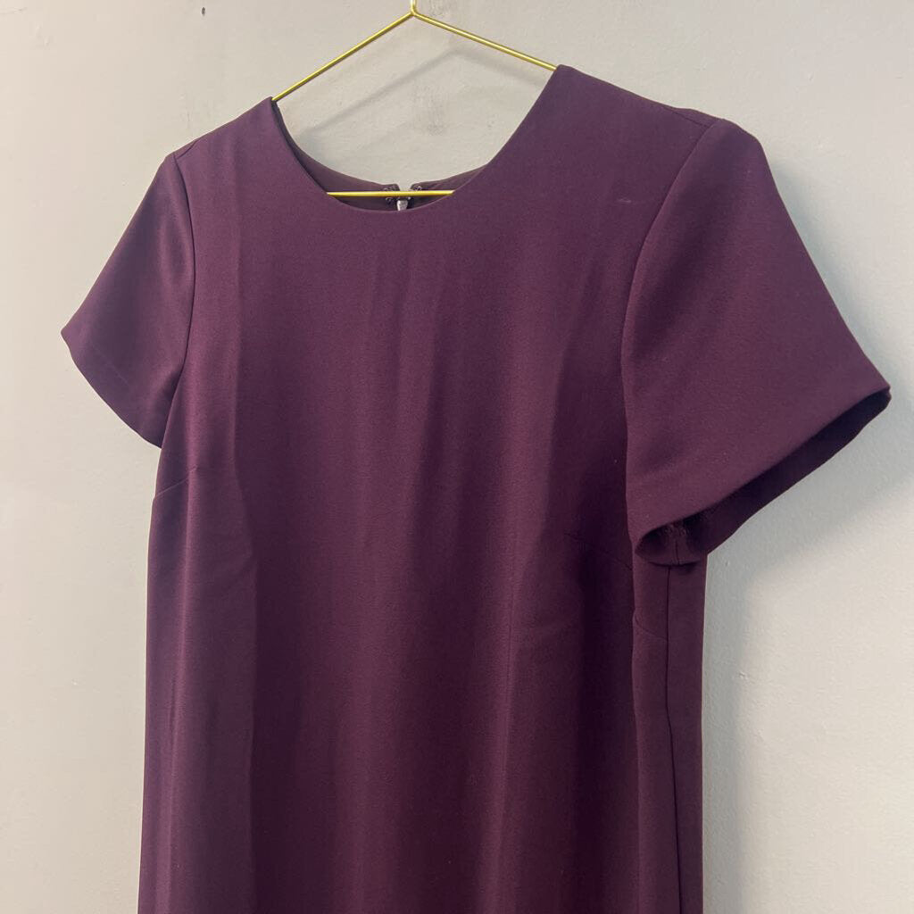 Ann Taylor Purple Short Sleeve Pleated Detail Dress 4P