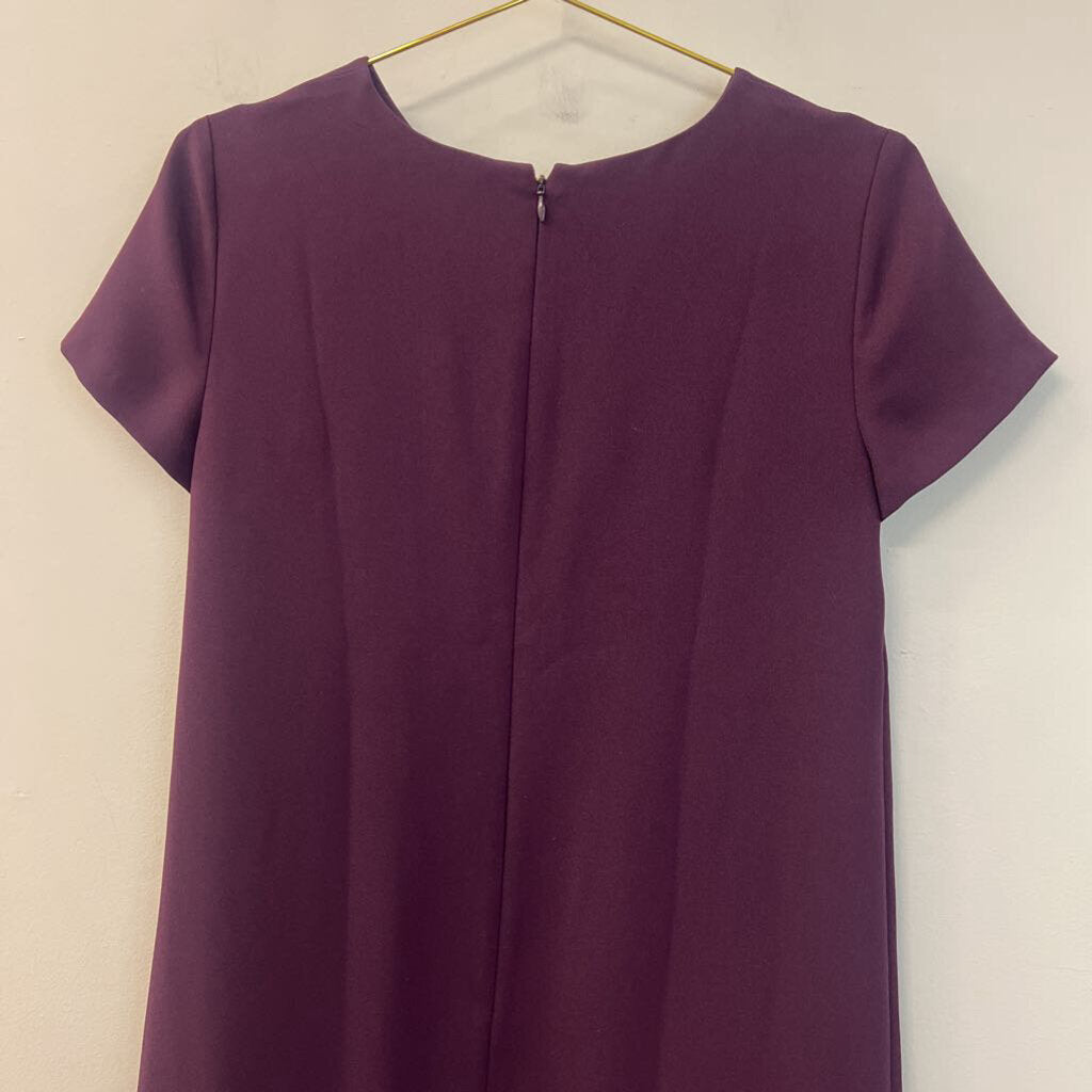 Ann Taylor Purple Short Sleeve Pleated Detail Dress 4P