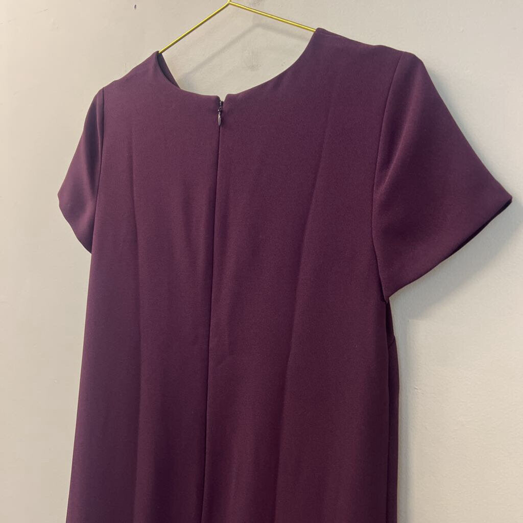 Ann Taylor Purple Short Sleeve Pleated Detail Dress 4P