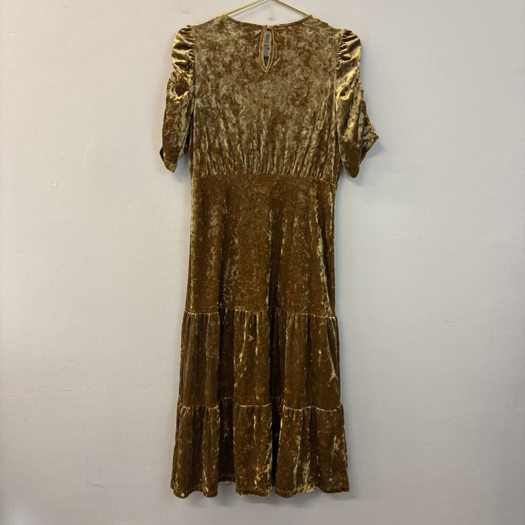 Who What Wear Brown Velvet Short Puff Sleeve Maxi Dress Small