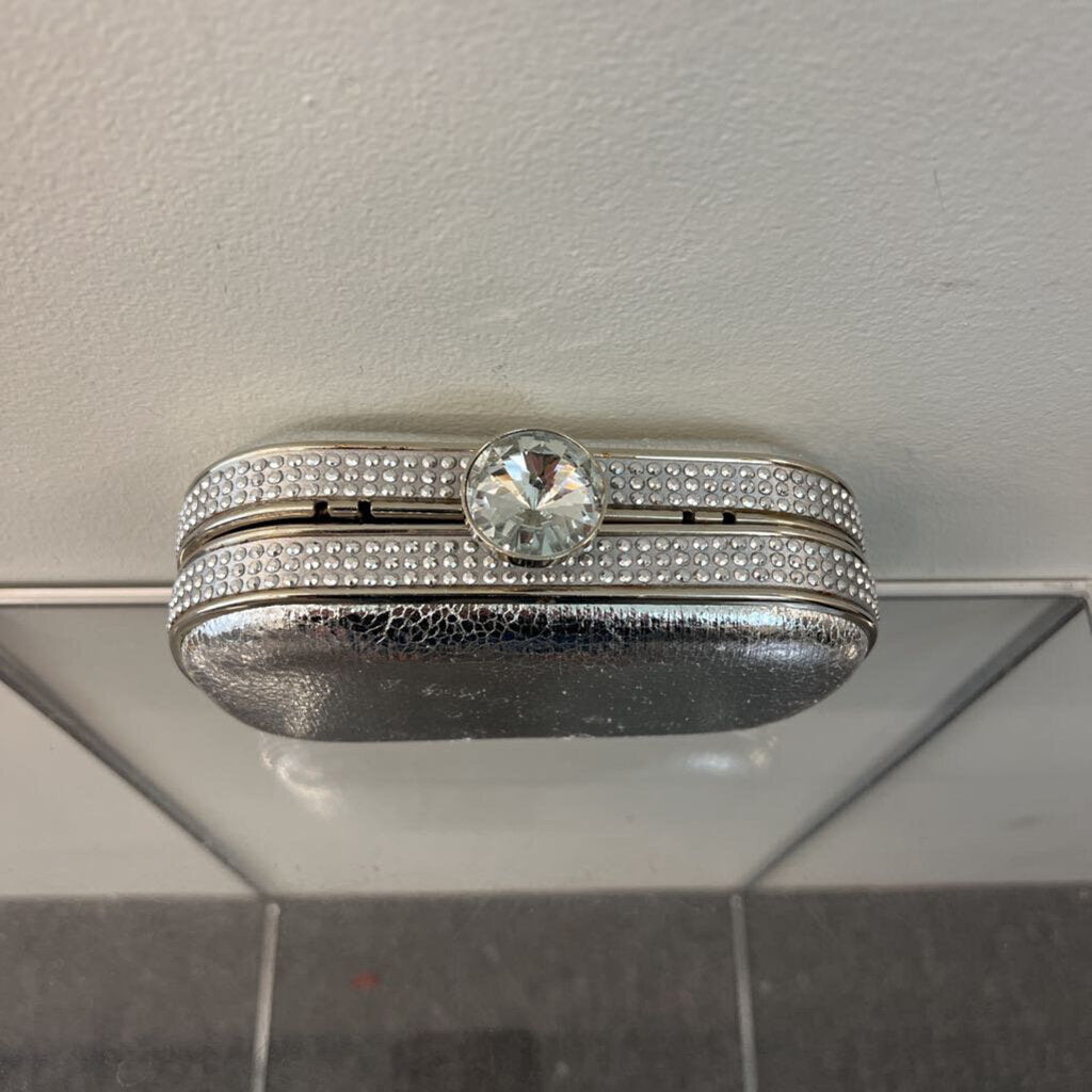 Metallic Silver Small Clutch Purse