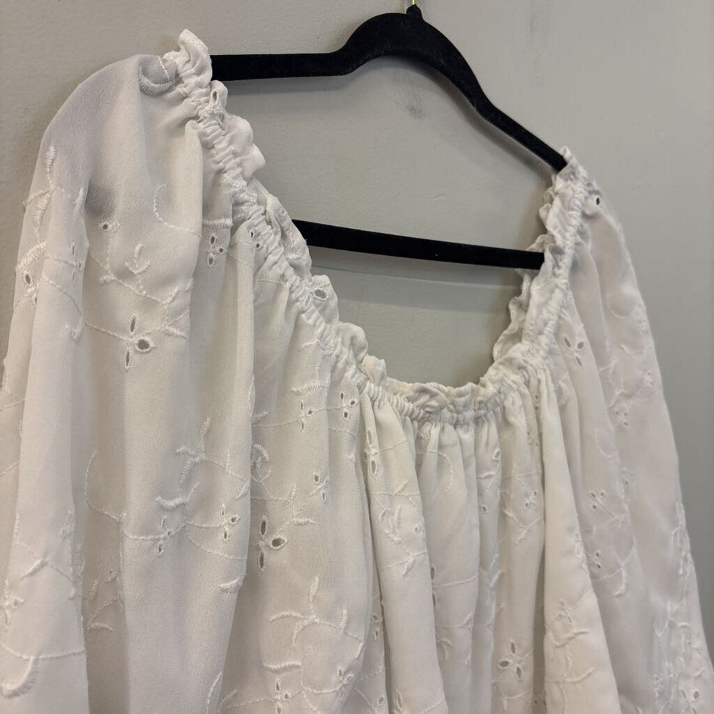 American Eagle White Eyelet Lace Long Sleeve Cropped Top Small