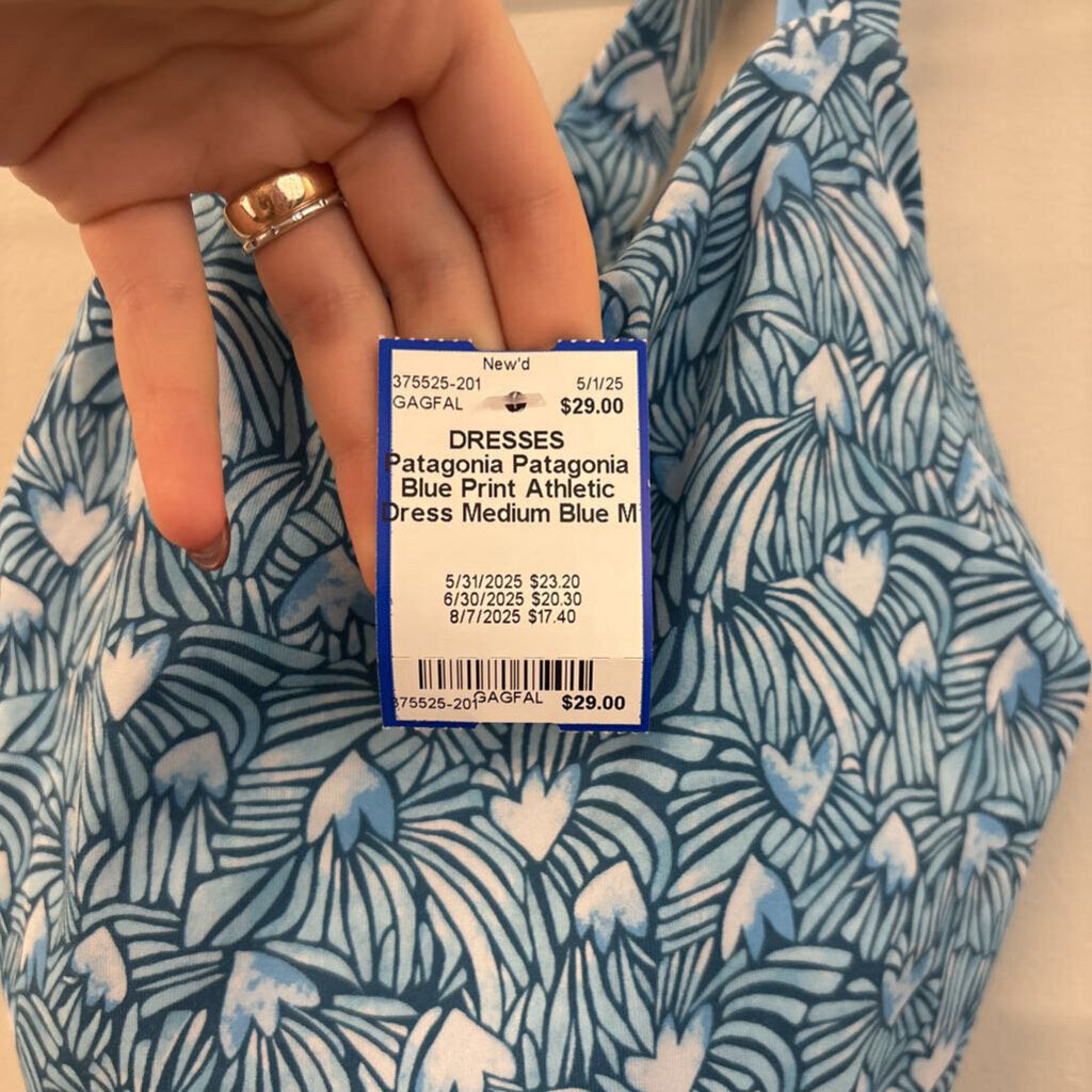Patagonia Blue Print Athletic Dress Medium