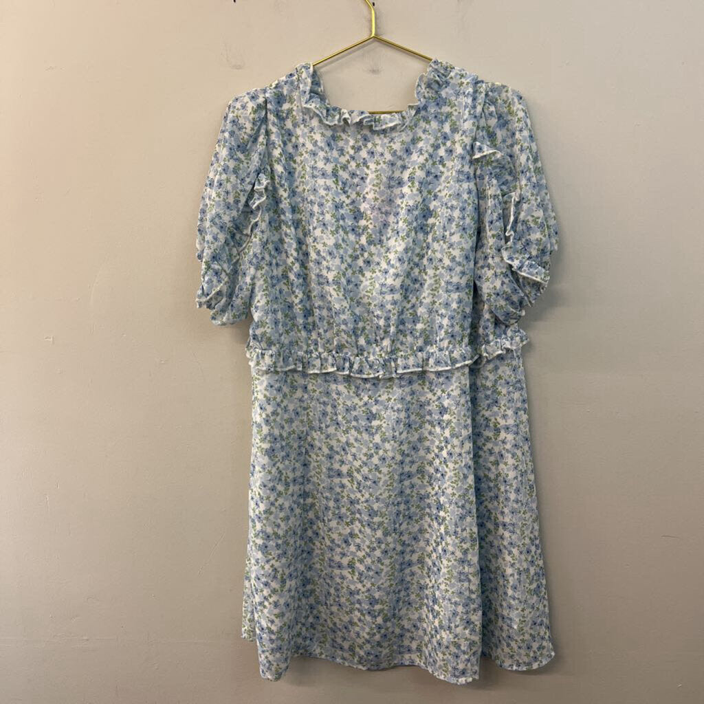 Arula Ditsy Floral Puff Sleeve Dress Extra Large