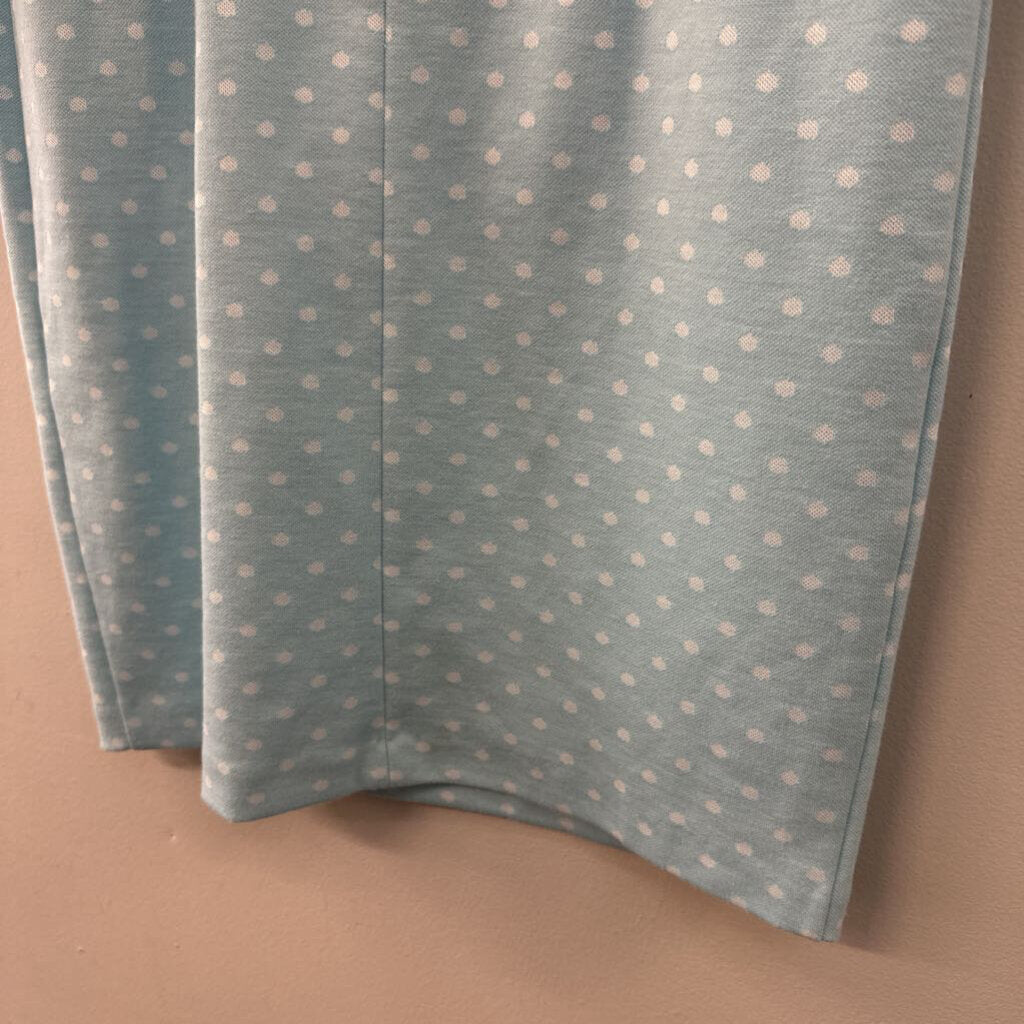 Tyler Boe Blue/ White Polka Dot Bell Sleeve Dress Small