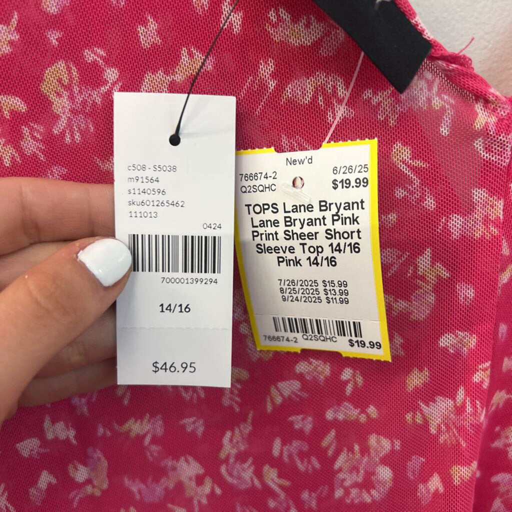 Lane Bryant Pink Print Sheer Short Sleeve Top 14/16