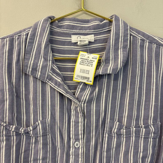 Japna Striped Collared Dress Medium