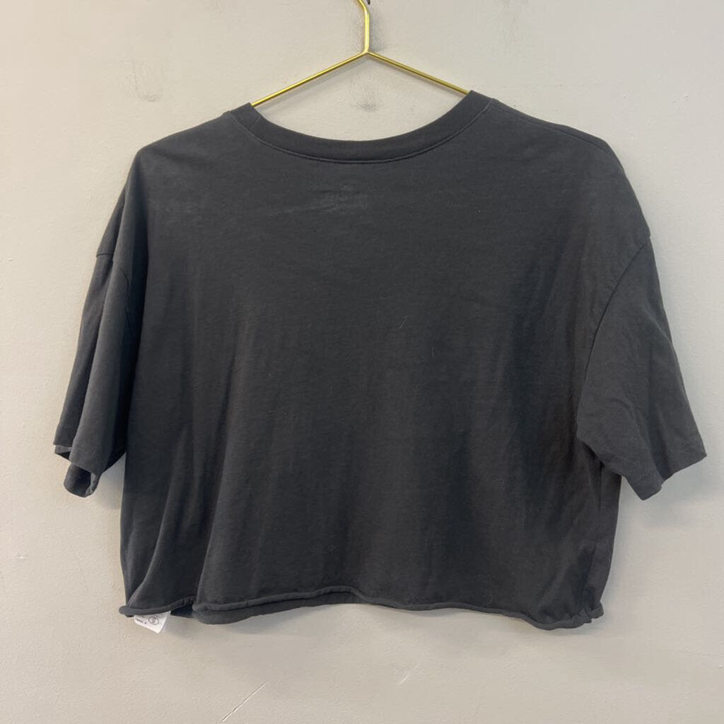 Hollister Grey Cropped Rolling Stones Short Sleeve Graphic Tee Medium