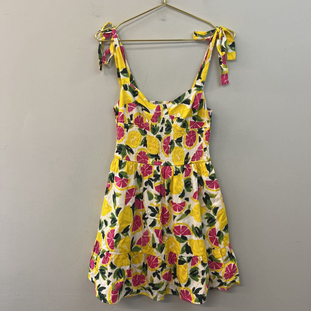Aqua White/ Multi Fruit Print Dress Medium