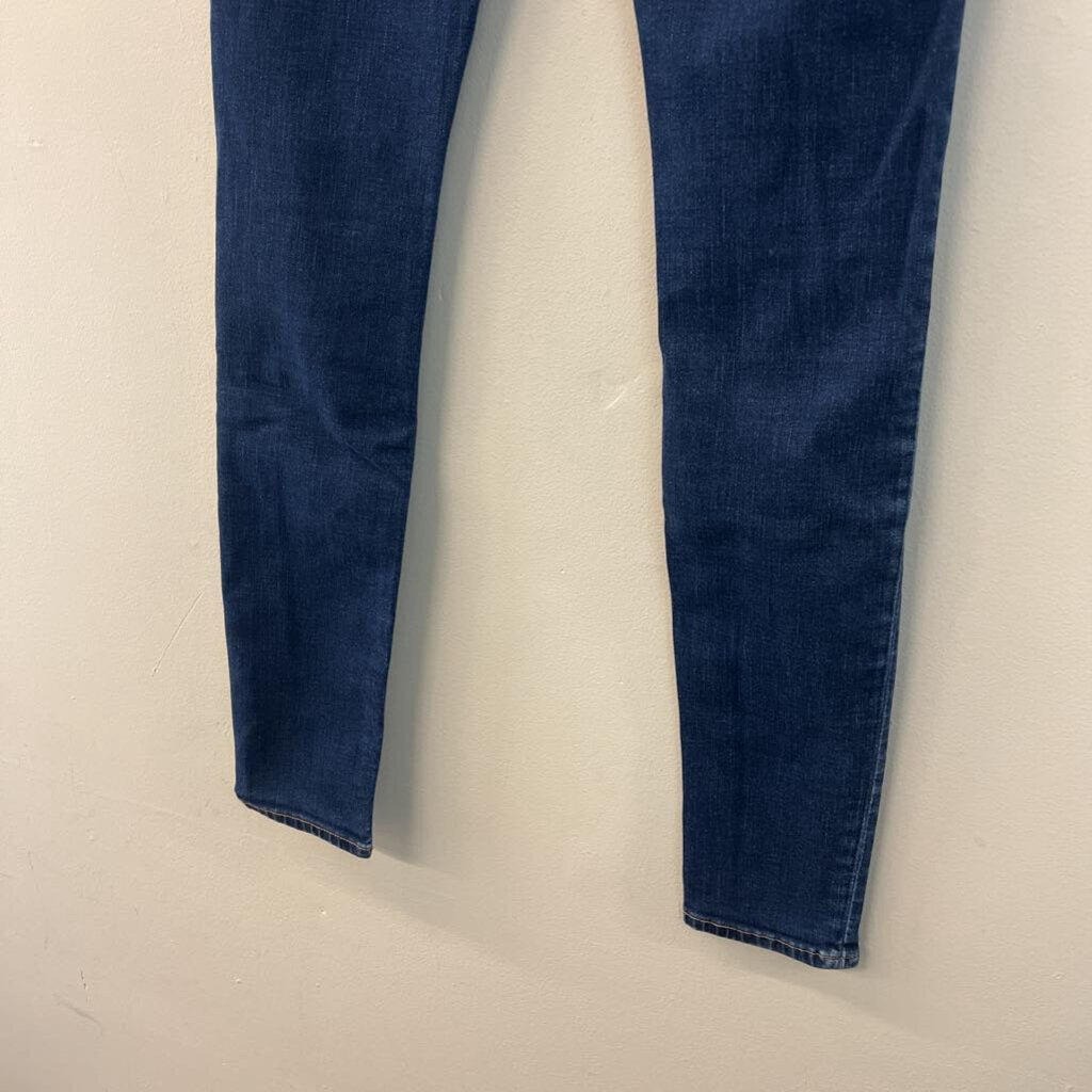 Hudson Dark Wash Skinny Jeans 26