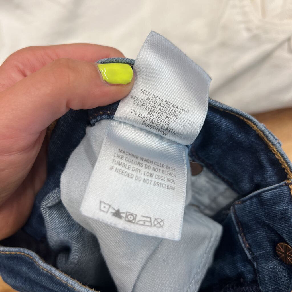 Hudson Dark Wash Skinny Jeans 26
